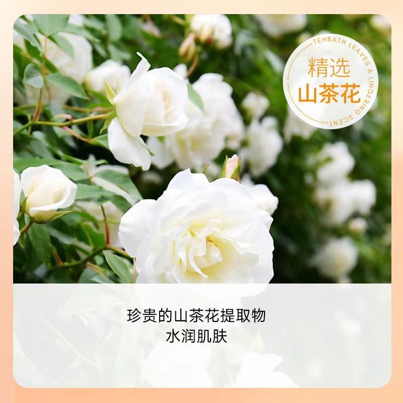 F1-012 Amino Acid Camellia Cleansing Mousse Facial Cleanser 600ml