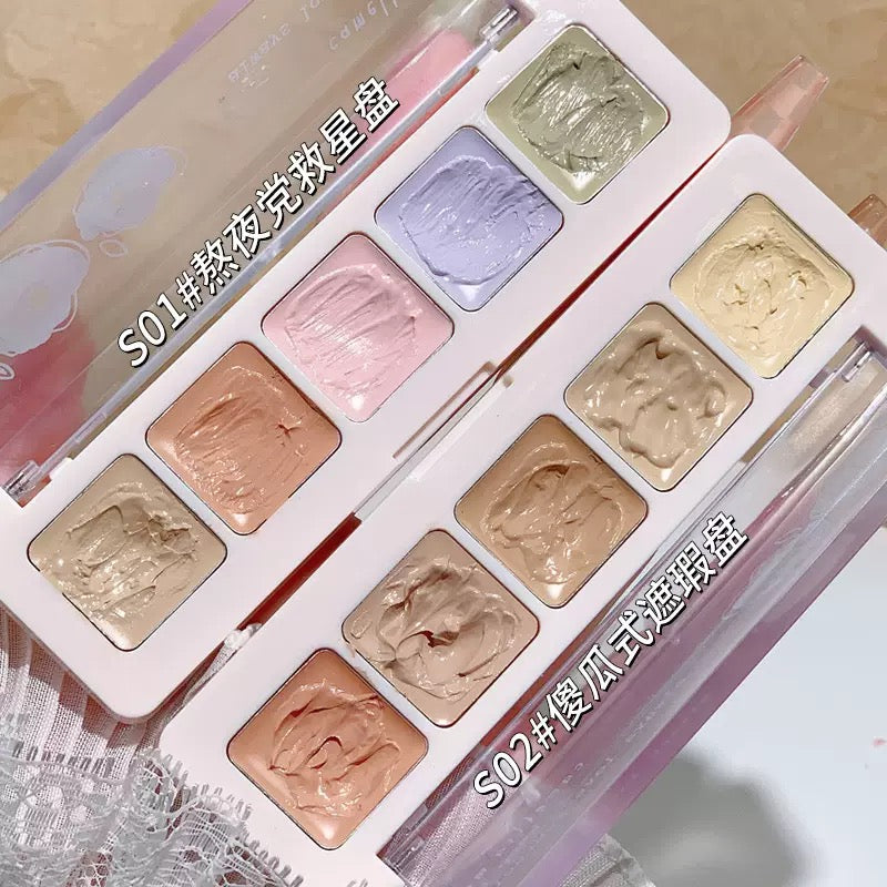 C009 Professional Makeup Collection Wholesale – High-Pigment Lipstick, Blush, Eyeshadow & Full-Coverage Foundation