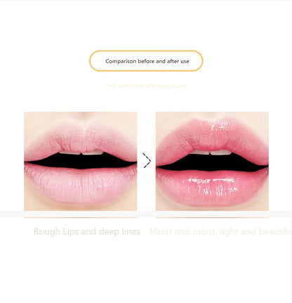 B1 Fun Cute Cheese Lip Balm